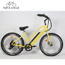 OEM E-Bike Cruiser City Style 500W Bafang Motor Electric Bike 48V 10.2Ah Green Power Ebike China